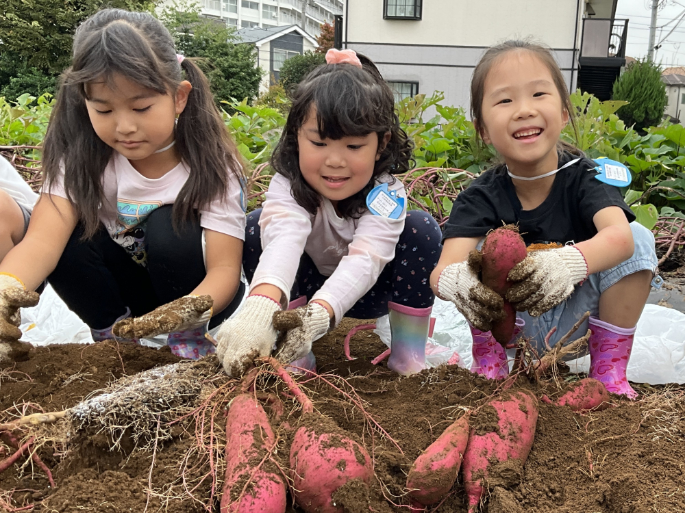 5歳　芋掘り遠足